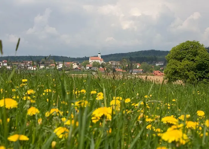 Chalet Blockhaeuser Stamsried